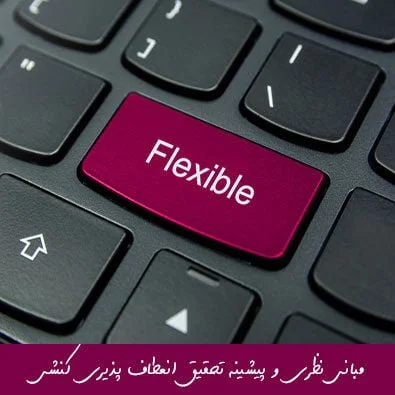 مبانی نظری و پیشینه تحقیق انعطاف پذیری کنشی